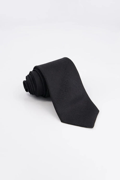 Cloutier Tie& pocket square